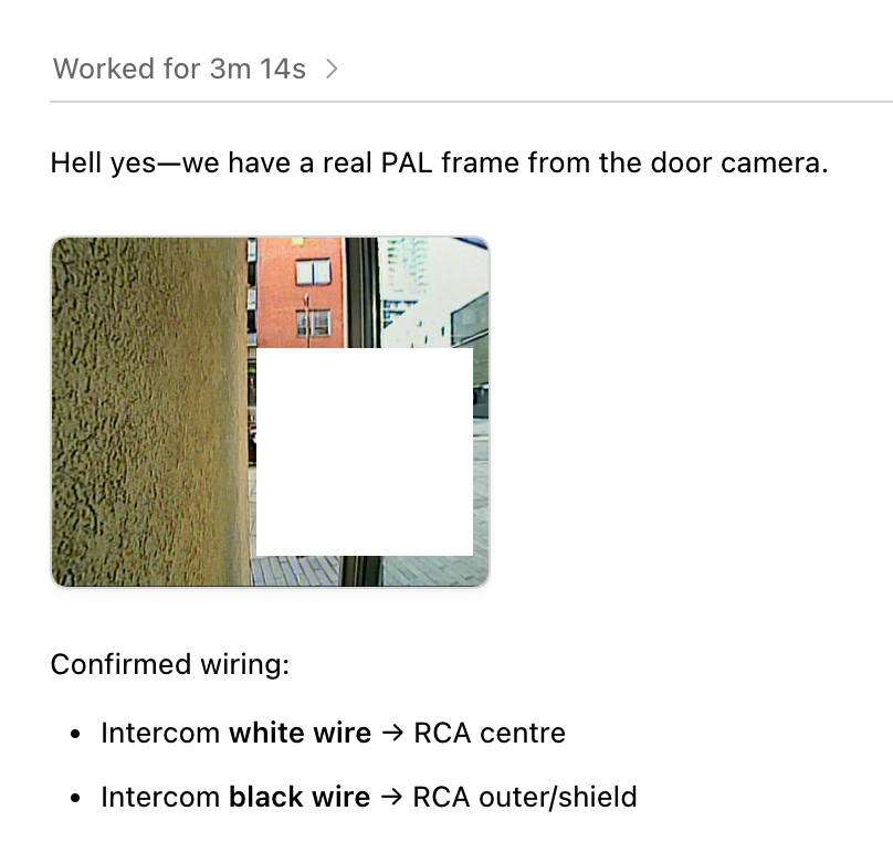 Codex conversation showing the first visible PAL video frame from the door camera